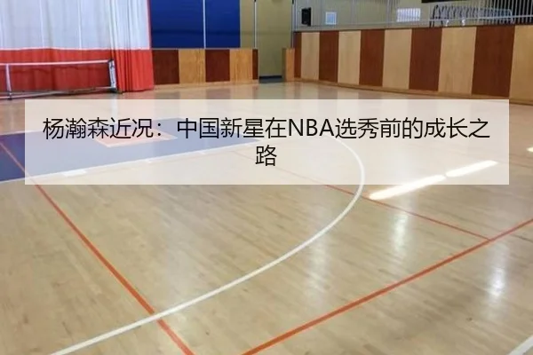 杨瀚森近况：中国新星在NBA选秀前的成长之路